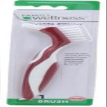 Family Wellness Denture Cleaning Brush, Dual Bristle Heads, with Deep Clean Pick, Assorted Colors