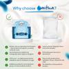 Bulgarian Yogurt Starter Culture Natural Probiotic Yogurt Culture Starter Homemade Yoghurt Starter 10 Liters Lactobacillus bulgaricus (yoghurt) view 4