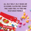 Needzo 20 Assorted Jelly Bean Flavors, Gourmet Candy, Shareable Fruit Flavored Bite Size Candies, Pack of 2 view 3