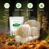 Z Natural Foods Organic Lions Mane Mushroom Extract Powder - Premium Mushroom Superfood - Perfect for Coffee, Tea and Smoothies - Non-GMO, Vegan, Gluten-Free, Kosher, 1 lb view 3
