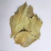 Veena Parijatak Pan - Harshringar Patta - Paarijaat Leaf - Parijat Leaves - Harshingar Patta - Nyctanthes Arbor-Tristis (1 Kg) view 1