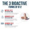 BioActive Vitamin B12 - 5000 mcg, Contains 3 BioActive Forms B12 Plus Methylfolate Cofactor - Methyl B12, Adenosyl B12 & Hydroxy B12 | Supports Energy, Metabolism & Mood | Vegan, Non-GMO (60 Servings) view 3