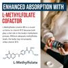 BioActive Vitamin B12 - 5000 mcg, Contains 3 BioActive Forms B12 Plus Methylfolate Cofactor - Methyl B12, Adenosyl B12 & Hydroxy B12 | Supports Energy, Metabolism & Mood | Vegan, Non-GMO (60 Servings) view 4