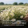 Airoomoil Chamomile Essential Oil for Diffuser & DIY, 100% Pure Chamomile Oil, Gentle Floral Aroma for Bedroom, Suitable for Skin Dilution, Aromatherapy, Blending & Crafting, Large 4 fl oz / 120 ml view 4