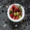 1200 PACK 12 oz Heavy Duty Disposable Bowls 100% Compostable, Eco Friendly White Bagasse Bowls Bamboo Fiber Bio Degradable, Sturdy Tree Free Heat and Liquid Resistant Parties, Restaurants, Cereal Bowl view 4