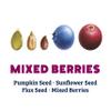 Ozery Bakery Super Seed Crunch Clusters, Mixed Berries, Plant Based, Vegan, Keto Snack, 5.3 Ounce (Pack of 3) view 4