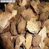 SEASOL AL Jamal QUST AL BAHRI Root Powder/Qust-e-Shireen/Qust al sheerin/Sea costus 100 grm/Pure & Natural view 2