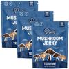 Pan's Mushroom Jerky, Vegan Snacks, Dried Mushrooms Shiitake, Plant based Jerky, Meatless Jerky, Gluten Free, High in Fiber, with Teriyaki flavor (2.2 Ounce, Pack of 3) view 1