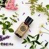 AKARZ Kiwi Essential Oil Natural Organic Kiwi Oil for Skin Body Hair Care, Candle,Soap,Making, DIY,Massage Aroma 0.34 Fl Oz (10ml) view 4