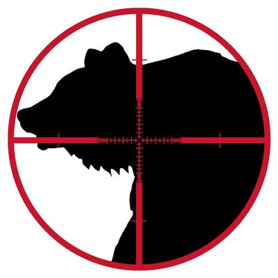 1/2 Sheet - Bear Hunting Birthday - D3958 - 2D Edible Cake Cupcake Party Topper