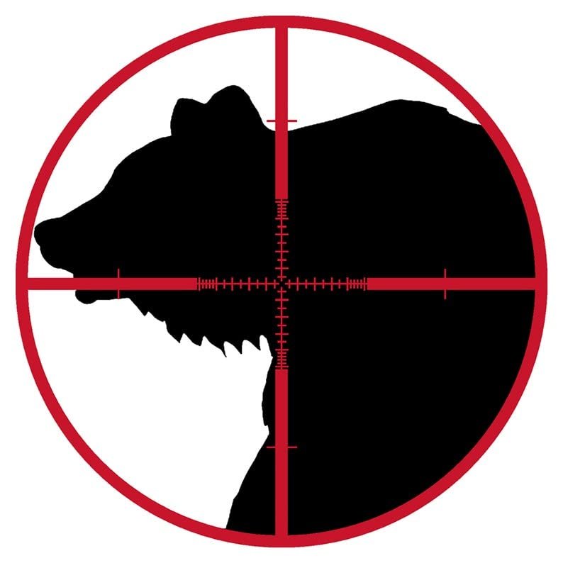 1/2 Sheet - Bear Hunting Birthday - D3958 - 2D Edible Cake Cupcake Party Topper