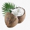 Mystique Hills - Organic Living Coconut Milk Powder, 500 g view 2