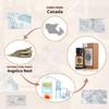 AKARZ Angelica Essential Oil Natural Organic Pure Angelica Oil for Skin Body Hair Care, Candle,Soap,Making, DIY,Massage Aroma 0.34 Fl Oz (10ml) view 2