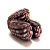 Heirloom Organic WHOLE PURPLE CORN 16 oz (1 lb.) for Brewing, Beer, Drinks, Baking, Smoothies, Cornbread, Tortillas view 1