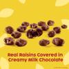 Raisinets Dark Chocolate Covered Raisins, Gluten-free California Movie Theater Candy Box 3.1 oz, Bulk 15 Pack view 3