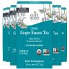 Earth Mama Organic Ginger Nausea Tea | Comforts Occasional Nausea + Morning Sickness, 16 Teabags Per Box (6-Pack) view 1