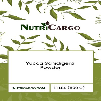 Yucca Schidigera Powder 1.1Lbs (500G)
