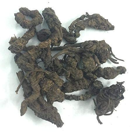Veena Tagar Ganth - Mushkbala - Sugandhabala - Tagar -Valerian Root - Valeriana Wallichi (100 GMS)
