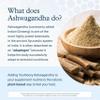Youtheory Ashwagandha Liquid - with Organic KSM-66 Ashwagandha - Herbal Blend to Support Stress Relief & Energy Levels* - Helps Support Mood* - 1 oz Single Serve Packet, Pack of 12 view 4
