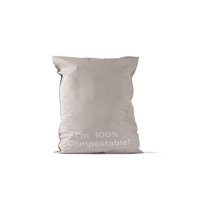 Tishwish Stock Compostable Mailer (Small (260x385mm / 10.2x15.1 inches), Slate)