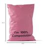 Tishwish Stock Compostable Mailer (Small (260x385mm / 10.2x15.1 inches), Rose) view 4