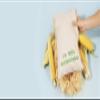 Tishwish Stock Compostable Mailer (Large (370x480mm / 14.5x18.5 inches), Bamboo) view 3