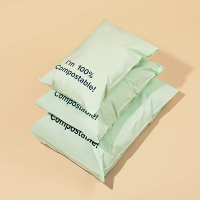Tishwish Stock Compostable Mailer (Small (260x385mm / 10.2x15.1 inches), Teal)