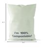 Tishwish Stock Compostable Mailer (Small (260x385mm / 10.2x15.1 inches), Teal) view 4