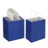 Oikss 100 Pack 8x4.75x10 Inch Medium Royal Blue Kraft Paper Bags with Handles Bulk for Birthday Wedding Party Favors Grocery Retail Shopping Business Goody Craft Gift Bags Sacks, (100pcs Count) view 1