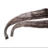5 Hawaiian Vanilla Beans Whole Grade A Vanilla Pods for Homemade Vanilla Extract, Baking, Ice Cream, Flavoring, & Vanilla Powder view 4