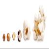 Perfectware 8oz Popcorn Portion Packs Popcorn Bags, PW-Popcorn8oz-W-Bags-131, 8oz-Pack of 6ct w/Bags view 4
