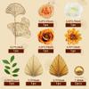 10PCS Boho Cake Topper Flower Cake Topper Gold Palm Leaves Cake Decorations with Artificial Cotton Rose Ginkgo Leaves and Balls for Birthday Party Wedding Baby Shower Boho Themed Party Supplies view 2