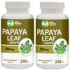 WAY 4 ORGANIC W4O Papaya Leaf Extract Capsules (Tablets) - 500 mg 240 Pills, Supports Immunity & Digestion - 120 Days Supply view 1