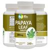 WAY 4 ORGANIC W4O Papaya Leaf Extract Capsules (Tablets) - 500 mg 240 Pills, Supports Immunity & Digestion - 120 Days Supply view 2