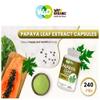 WAY 4 ORGANIC W4O Papaya Leaf Extract Capsules (Tablets) - 500 mg 240 Pills, Supports Immunity & Digestion - 120 Days Supply view 4
