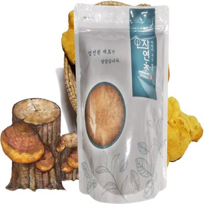 Organic Natural Pure Phellinus linteus Extract Powder-7.05 Ounce (200g)