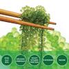 NAMISO OKINAWA Organic Sea Grapes,Organic Seaweed, Umibudo, Green Caviar, Dehyrated lato, Seagrapes , Superfood - Enhance Health, Boosting Immune System (3.5 Oz (Pack of 5), 1 box) view 3