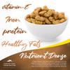 Oregon Farm Fresh Snacks Butter Toffee Cashews  Butter Toffee Coated Cashew Nuts  Delicious and Sweet Nut Snacks  Crunchy Cashew Nut Snack Packs for School, Office, Road Trips (22oz) view 4