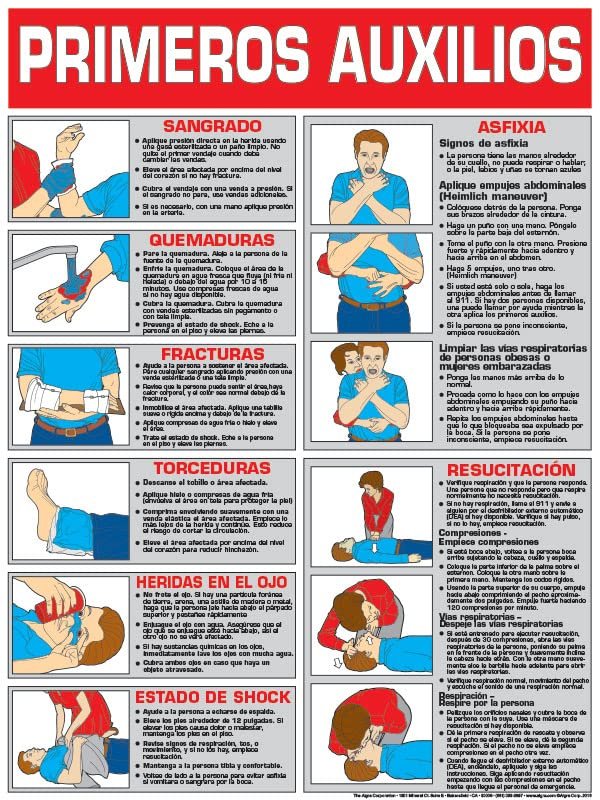 ALGRA First Aid 18" X 24" Laminated Poster Spanish Version (24" x 36")