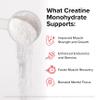 InnoSupps Creatine Monohydrate Powder - Pure Micronized Creatine Powder for Strength, Muscle Growth & Recovery - Doctor-Trusted, No Fillers, Unflavored (50 Servings) view 3