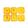 bodi : Mochi Mango 6 Pieces of 35g | Handmade Natural Ingredient (1 Pack) view 1