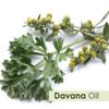 Crysalis Davana (Artemisia Pallens) Oil - 1.69 Fl Oz (50ml) view 2