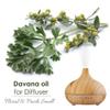 Crysalis Davana (Artemisia Pallens) Oil - 1.69 Fl Oz (50ml) view 4