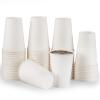 12 Oz 120 ParkPaper Cups Coffee Cups 12 Oz Hot Cups view 1