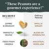 Belmont Peanuts Gourmet Sea-Salted Virginia Peanuts, 25 oz (2 Pack)  Only 3 Simple Ingredients, No Preservatives, 7g Protein  A Premium, Salty, Crunchy, Hand Seasoned Snack view 4