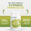 AMBROSIAL Evening Primrose Oil (EPO) 1000mg | 60 Capsules | Rich Source of Omega 6 & GLA | Non-GMO, Gluten Free | No Artificial Preservatives (Pack of 2-120 Capsules) view 3