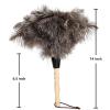 2pcs Ostrich Feather Dusters Natural Feathers Duster with Wooden Handle Natural Ostrich Feathers for Home Cleaning and Office Finishing Duster(2pcsLength14 view 2