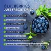 SEL BERRY Organic Wild Blueberry Powder 3oz USDA Certified - No Sugar Added Antioxidant-Rich Freeze Dried Organic Wild Blueberries Ideal for Smoothies Breakfast & Baking From Nordic Forest with Love view 3