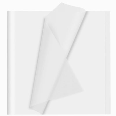 120 Sheets White Tissue Paper for Gift Bags, Craft Papers Bulk for Wrapping DIY Artworks Flower Decoration,14 x 20 Inches