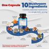 10 in 1 High Strength Mushroom Supplement - Lions Mane, Cordyceps, Reishi - Brain Supplements for Memory and Focus ** 5-Month Supply view 2